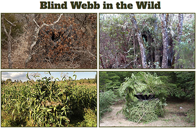 Spidy Gear® Hunter's Blind Webb