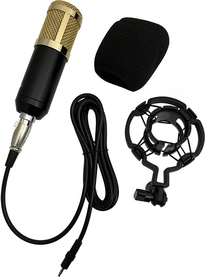 Professional Broadcasting and Recording Microphone