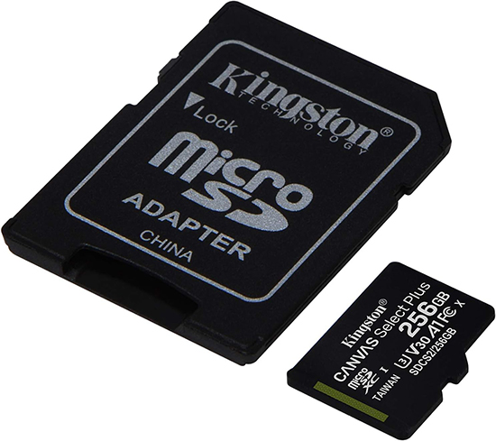 Kingston  256GB Mirco SD Cards