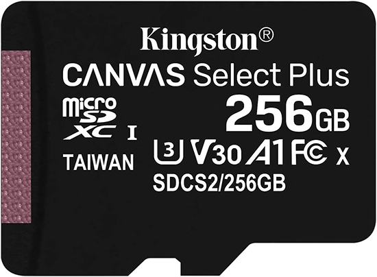 Kingston  256GB Mirco SD Cards