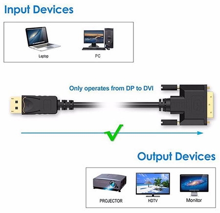 10 Foot DVI to DisplayPort Cable Adaptor (M-M)