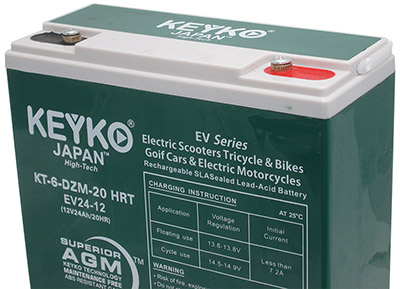 KEYKO® KT-6-DZM-20 HRT 12V/24AH Rechargeable Sealed Lead Acid Batteries