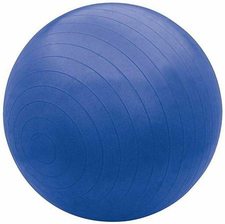 Bollinger  Pro Grade Exercise Ball and Pump