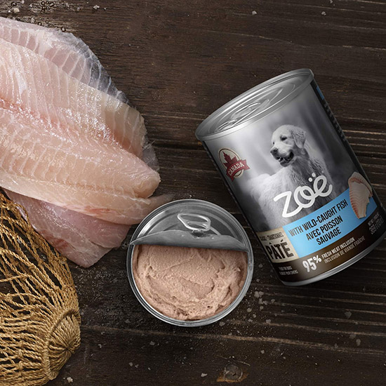 Zoe Wild-caught Fish Canned Dog Food