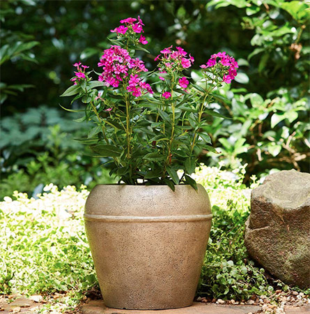 Southern Patio  12-inch Curt Planter