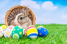 Happy Easter!
