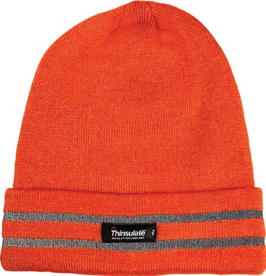Thinsulate  Thermal Insulated Safety Toques