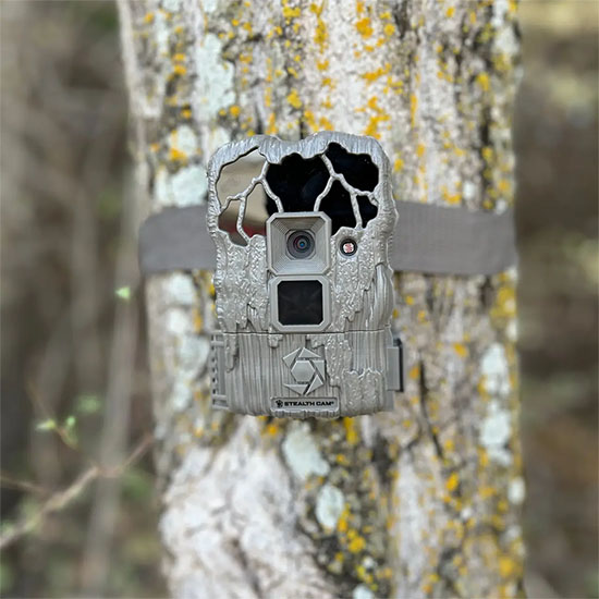 Stealth Cam 2-Pack 20MP Infrared Digital Trail Cameras