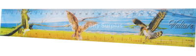 Left to Right 1-Foot Measuring Rulers with 3D Designs