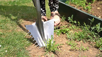 Holland Greenhouse  4-in-1 Innovative Weed Shovel