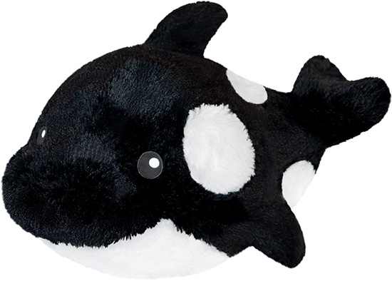 Squishable Orca Whale Plushie