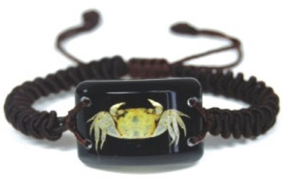 Real Insects® Crab Bracelet