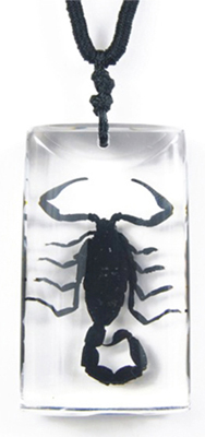 Real Insects® Black Scorpion Small Rectangle Necklace